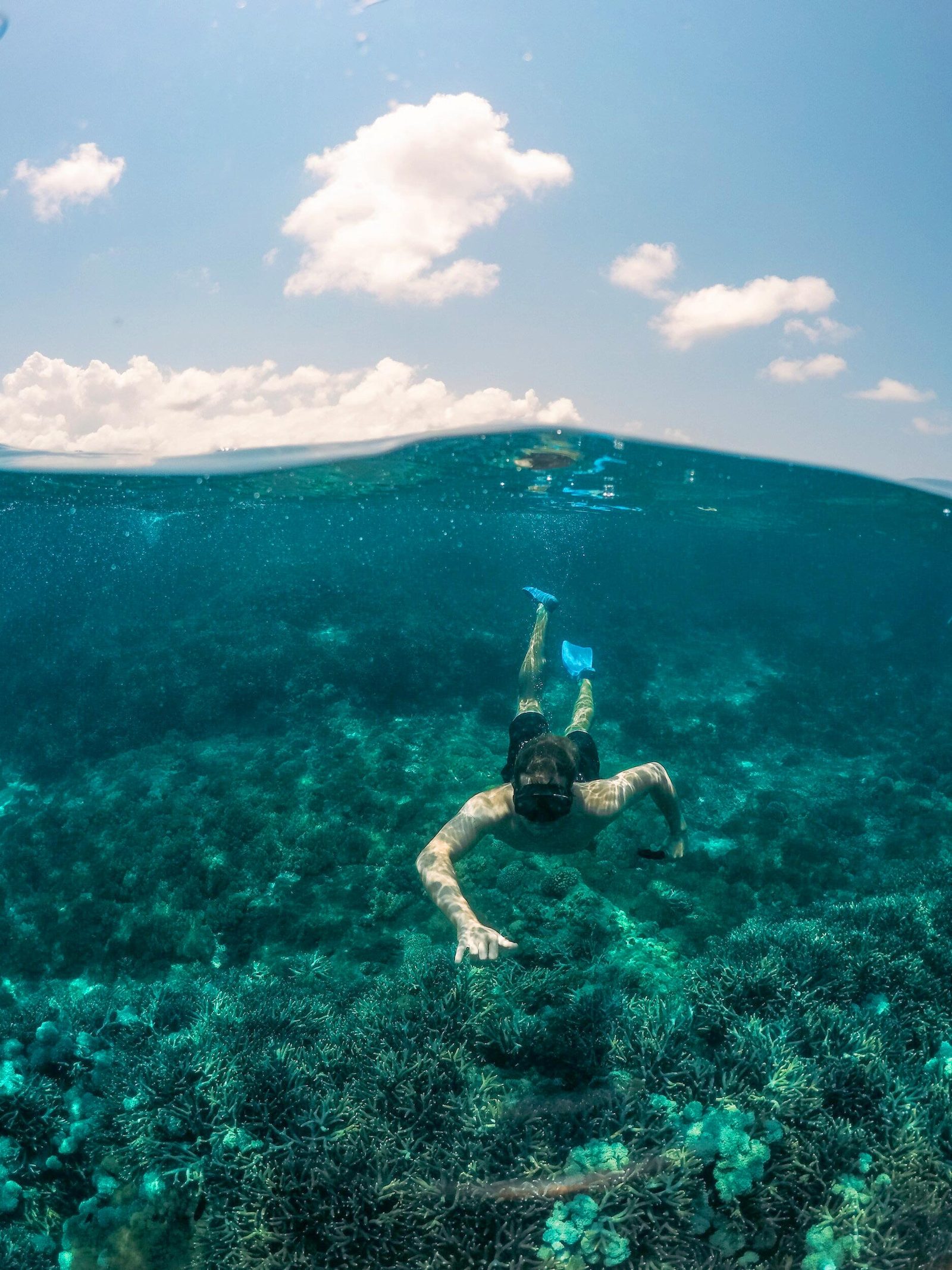 Snorkel en las aguas transparentes de Isla de Lobos
